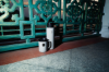 Picture of Thermal Mug – AHEAD