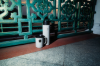Picture of Drinking Bottle — AHEAD